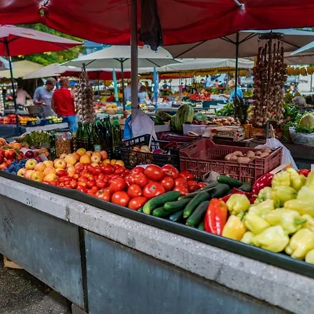 Buga Διαμέρισμα *